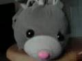 Singapore MOST fierce rabbit!!!!!! see to believe !!!