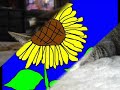 ねころり子守唄（しげさ三味線）