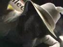 Macho Macho Picho ( Original Music Clip 2008)