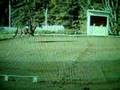 Eventing day part one:: dressage