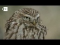 See video See video