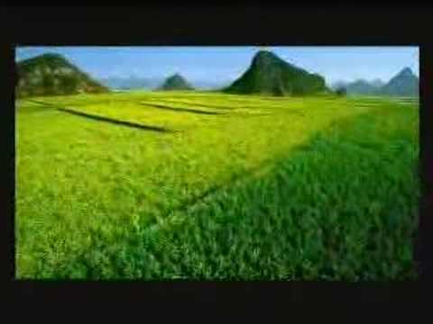 CHINOISE