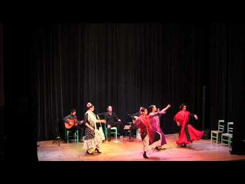 Cour de danse Flameco à Saverdun