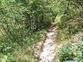 Aia-Poggeto- Natural FreeRide-