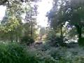 Planten Blomen (Hamburg)  [Commando Potas]