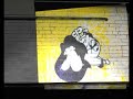 Cans Festival - pixinc animation
