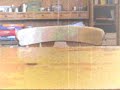 ボール猫動画