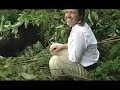 Rwandan Gorilla Trek