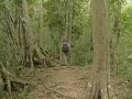 Episode 23: Tikal