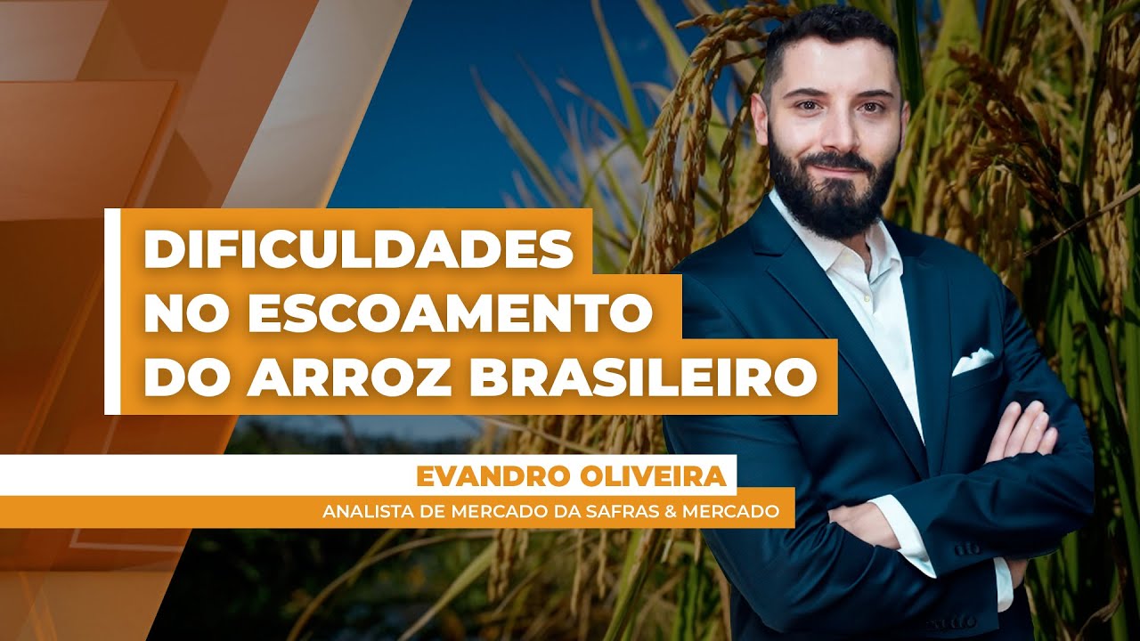 Falta de escoamento pode levar setor arrozeiro brasileiro atingir os maiores estoques de passagem...