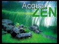 (www.vidaaqua.com.br) Video de Takashi Amano, fazendo montagem de um plantado em workshop na Italia, vejam a facilidade que ele cria suas obras. 