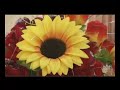 ابو حسن الاحسائي - سيف الدين