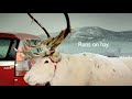 Saab versus a Reindeer in Kiruna Northern Sweden.  The ultimate 'moose test'.