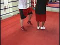 box-ibragimov-makstv-secret-metoud-sultan-ibragimov.html