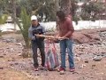 PROTESTA DE PESQUEROS EN IQUIQUE