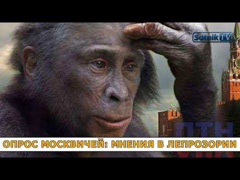 ОПРОС МОСКВИЧЕЙ: МНЕНИЯ В ЛЕПРОЗОРИИ ОПРОС МОСКВИЧЕЙ: МНЕНИЯ В ЛЕПРОЗОРИИ