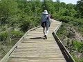 videos de Huntley Meadows May 4, 2008