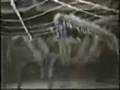 videos de TIERRA INCREIBLE TECVEN ROBOTICA