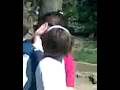 videos de escola anxaneta p4 abril 2008 plaça fivaller