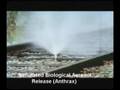 Nuclear, Biological, & Chemical Warfare