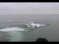 videos de Happenig of Boat Surfin!