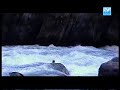 UR NOMADE NEPAL
