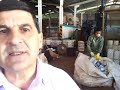 Cooperativa recolhe embalagens de agrotóxicos