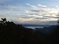 Bird in an Appalachian Sunrise