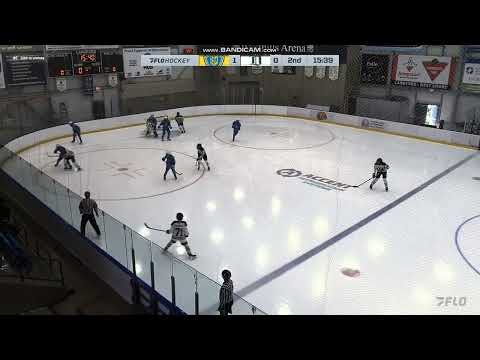 Brady Olson Delta Black U15 Prep -  Excellent forecheck leads to slick deflection = GOAL