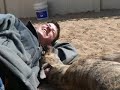 A GREYHOUNDS LOVE A GIFT FROM GOD A GREYHOUNDS LOVE A GIFT FROM GOD