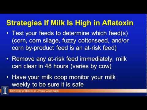 how to eliminate aflatoxin