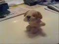 Little doggie dancer - Moondance (full version) Little doggie dancer - Moondance (full version)