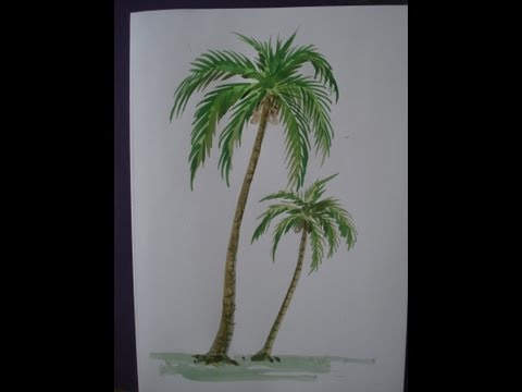 Palm Tree Draw