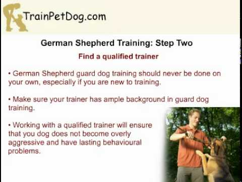 how to train gsd
