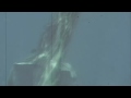 White Sharks - Hawkmoon 269