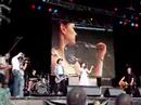 The Wonder Stuff live