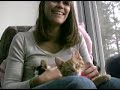 1. kitten adoption: after being abused and abandoned, the one-eyed kitten has a new loving home.
2. elm turkey farm: fresh and local birds. dracut's elm turkey farm has been selling bagged birds for 28 years. charlie daigle tells us why his fresh turkeys are far superior to the frozen ones.
3. mickey's: say goodbye to sangria's. mickey's is lowell's newest irish pub, offering traditional favorites and unique classics like boxty. they've also added a dance floor and flat screen tvs.
