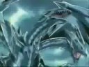 Kaiba went down to Geogria Kaiba went down to Geogria