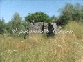 E paharruara Cameri. - Unforgoten Chameria - Η Tsamuria αξέχαστη.