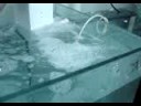 MOV03755.MPG