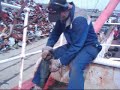 Ross Revenge Restoration (Radio Caroline)