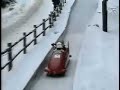 Corrida de trenó