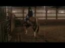 Good Boy Leroy - FOR SALE-SOLD