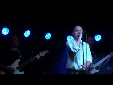 Youtube Video MGqLULDNKsk