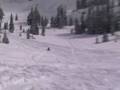 Shreddin Zuma Style