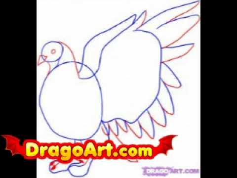 how to draw pigeon step by step