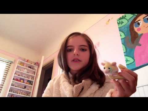 how to take care of a hedgehog