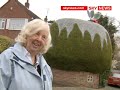 Giant Christmas Pudding Hedge!