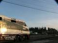 Amtrak #517 at Bellingham, WA