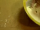 oobleck (non-newtonian fluid)